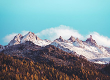 乐鱼体育官网-卡瓦尼终场前破僵助曼联晋级 锁喉一幕赛后引争议